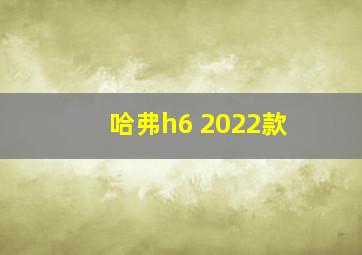 哈弗h6 2022款